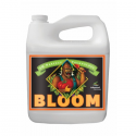 Bloom PH Perfect 5LT Advanced Nutrients