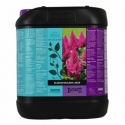 Blossom Builder Liquid 5lt Bcuzz