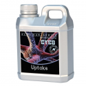 Uptake1LT Cyco Platinum