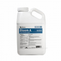 Bloom A 3.78l ATHENA