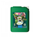 Tierra B Bloom 10lt Dutch Pro (Agua Blanda)