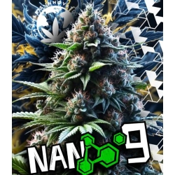 Flores CBD + NANO 9 Boom 5gr Cannabis Innovation  Flores CBD