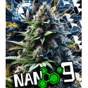 Flores CBD + NANO 9 Boom 5gr Cannabis Innovation