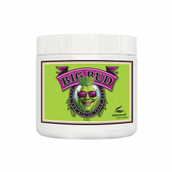 Big Bud Powder 1kg Advanced Nutrients ADVANCED NUTRIENTS ADVANCED NUTRIENTS