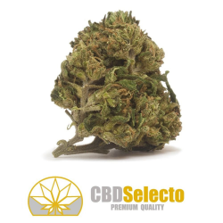 Flores CBD AK47 10gr CBD Selecto CBD Selecto Flores CBD