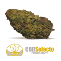 Flores CBD Bubblegum Kush 50gr CBD Selecto