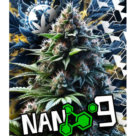 Flores Boom NANO 9 2gr Cannabis Innovation  Flores CBD