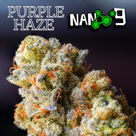 Flores CBD 12% + Nano 9 Purple Haze 5gr Cannabis Innovation  Flores CBD