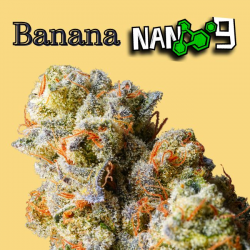 Flores CBD 60% + Nano 9 Banana 2gr Cannabis Innovation  Flores CBD