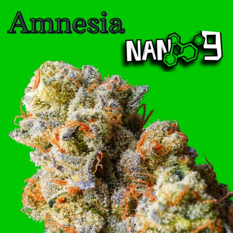 Flores CBD 60% + Nano 9 Amnesia 10gr Cannabis Innovation  Flores CBD