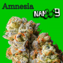 Flores CBD 60% + Nano 9 Amnesia 10gr Cannabis Innovation