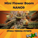 Flores CBD + NANO 9 Boom MINI 5gr Cannabis Innovation