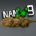 Flores NANO 9 Harlequin 10gr Cannabis Innovation