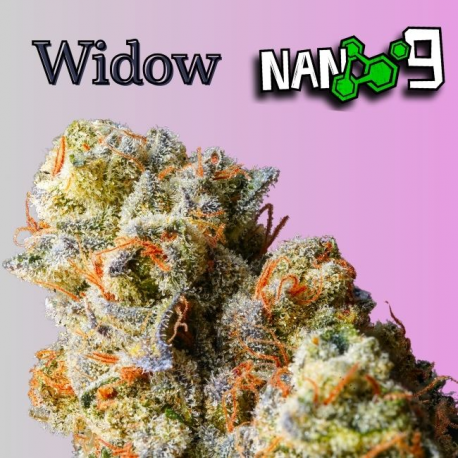 Flores NANO 9 White Widow 5gr Cannabis Innovation  Flores CBD